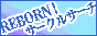 REBORN circle Search